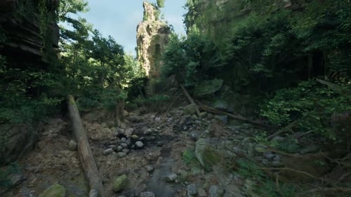A Scenic Rocky Path Through the Australian Woods Mountain Path