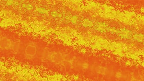 Abstract Fluid Orange Yellow Gradient Loop Background