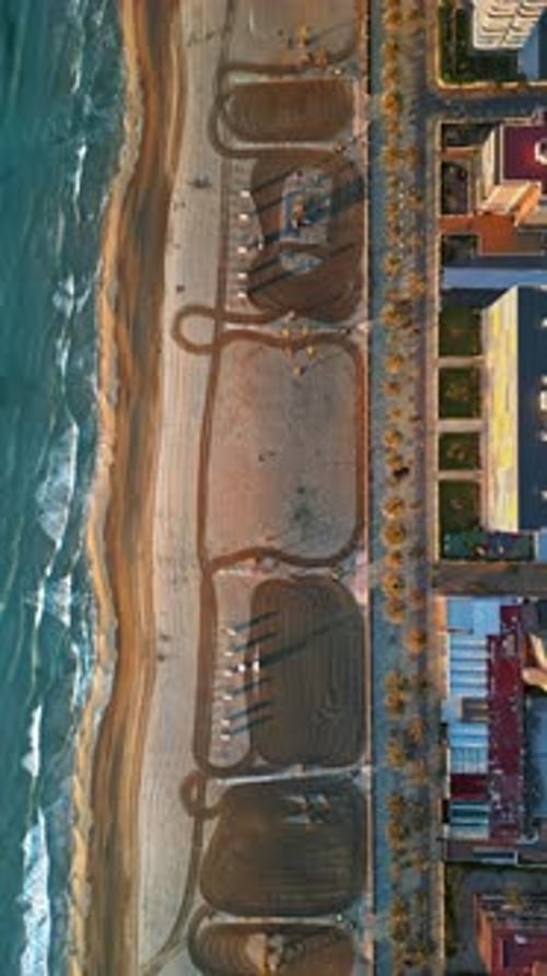 Aerial drone view of palm trees on a promenade near the beach and buildings along coastline of the c