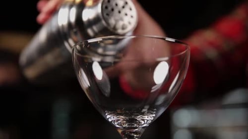 the bartender prepares a cocktail at the bar