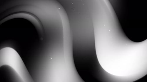 Abstract Fluid Black and White Waves Background Animation