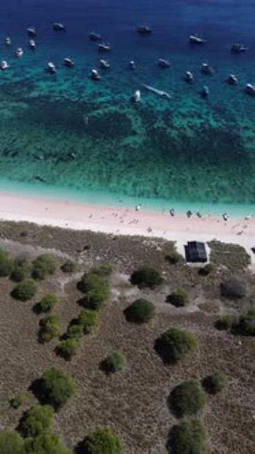 Aerial view of Pink Beach Komodo National Park, Flores, Indonesia.