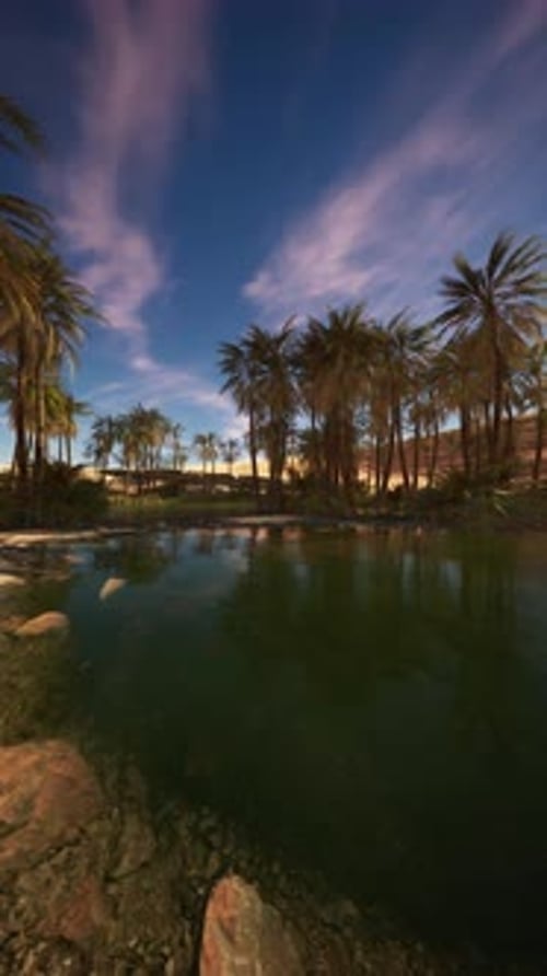 Vibrant Oasis in the Arabian Desert Under a Serene Night Sky