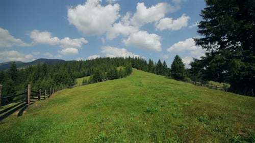 Pasture on Mountain