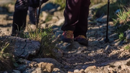A close up showing the footsteps of two hikers holding sticks, hiking through the rocky terrain. Slo
