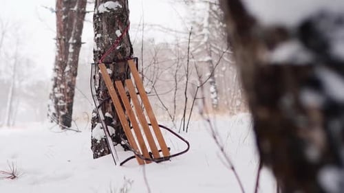 Traîneau en bois vintage soutenu par une épinette dans une forêt d'hiver enneigée, fond enneigé festif de Noël