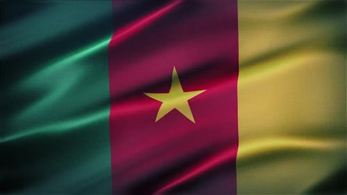 Cameroon Flag Waving Seamless Loop Animation