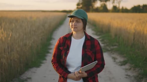 A Woman Farmer Monitors the Wheat Harvest While Walking Through the Field