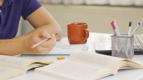 Hacker who works for money.