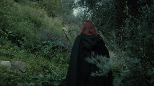 Enigmatic Woman Walks Among The Fairytale Woods At Night With A Lantern