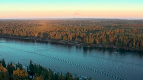 Golden hour light across pine tree forest and lakeside homes in washington, mt rainier in distance