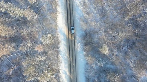 SUV dirigindo em uma bela rota rural na floresta em um dia de inverno
