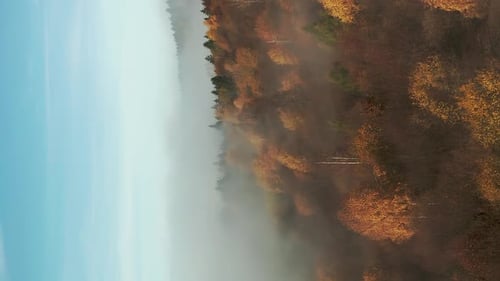 Vertical video flying over foggy mountain forest in vibrant autumn color