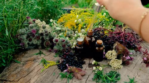 Preparing Herbal Medicine with Natural Ingredients