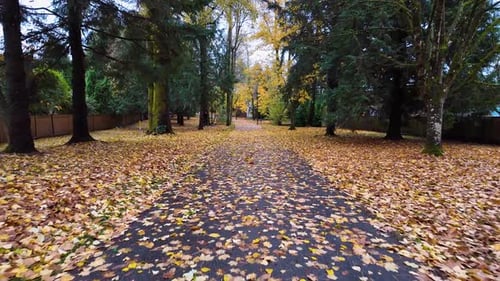 Pedestrian Pathway in Suburban Neighborhood Fall Season Fallen Leaves After Windy Storm