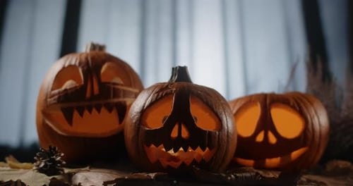 Halloween Pumpkin Faces with Candles are Standing in Dark Windy Forest at Night 60p Prores HQ 10 Bit