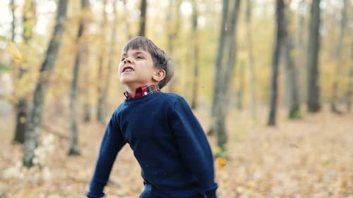 Little Funny Child Boy Throws Pile of Orange Leaves Overhead Playing in Park