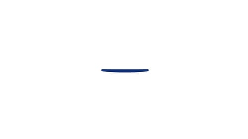 Vision Animated Icon