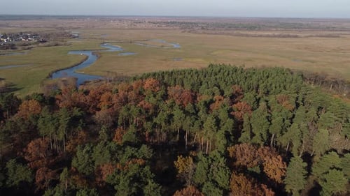 Aerial drone view over autumn forest. Colorful trees in the wood. Autumn forest aerial drone view.
