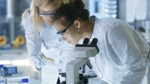 Scientists Working with Microscope in Laboratory