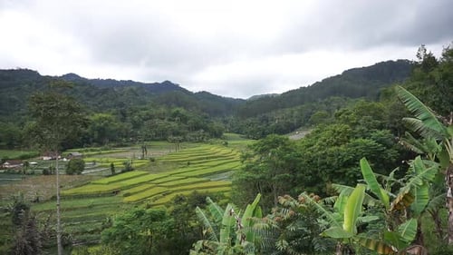 view of green mountains and cloudy sky, beautiful with paddy rice fields