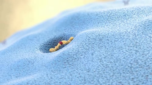 3D Microscopic Animation of Cellular and Molecular Interactions