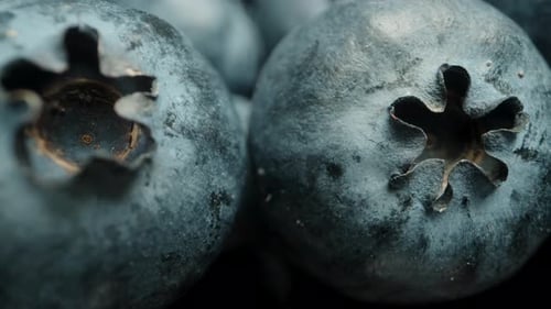 Macro zoom on blueberries. Dolly slider.
