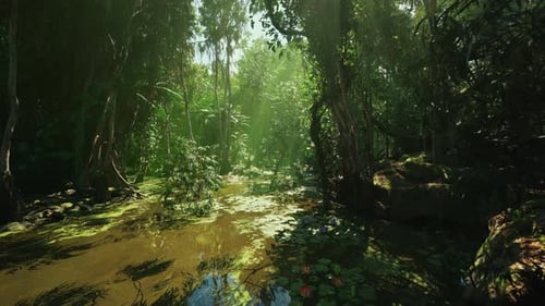Ruisseau scintillant avec de petits poissons et des insectes actifs à la lumière naturelle du soleil