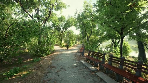 Walking Street With Natural View In Public Park