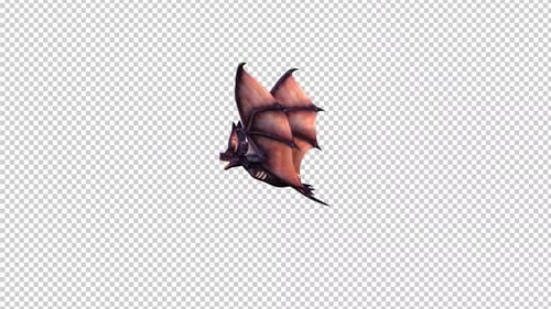 Flying Bat 3D Animation with Alpha Channel