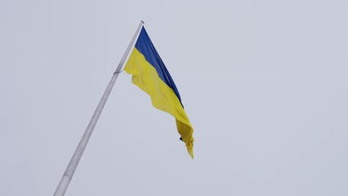 Ukrainian Flag Waving in the Wind Against Gray Sky