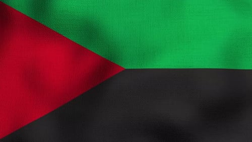 Abstract Flag Waving Loop with Red, Green, and Black Colors