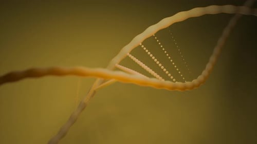 Generated 3d dna helix