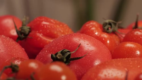 Bunte Bio-Tomaten, gemischte Tomaten, Hintergrund, verschiedene Sorten von geschnittenen Tomaten, Ansicht von oben