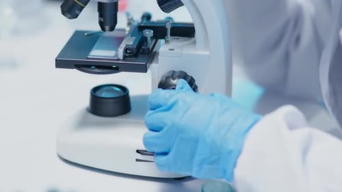 Scientists working test in laboratory for research on pharmacy for medical for disease and virus