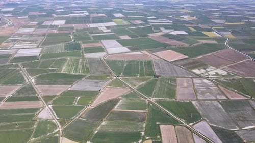 Large Agricultural Lands