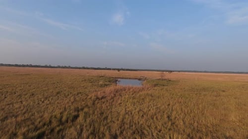 prairie