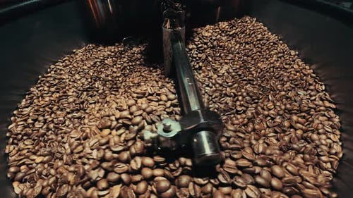 Roasted Coffee Beans Being Mixed by Metal Arm