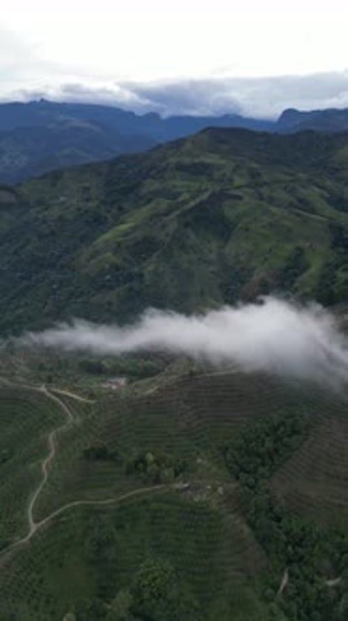 Aerial video over Salento towards a lush forested valley in the mountains of Colombia, Colombia