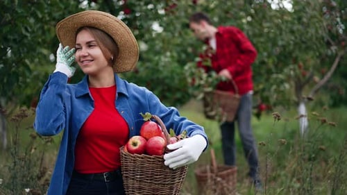 Mujer resiliente y sonriente con sombrero que sostiene una cesta de manzanas rojas.