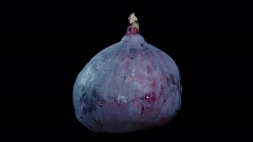 Fig in close-up rotating on a black background. Isolated object.