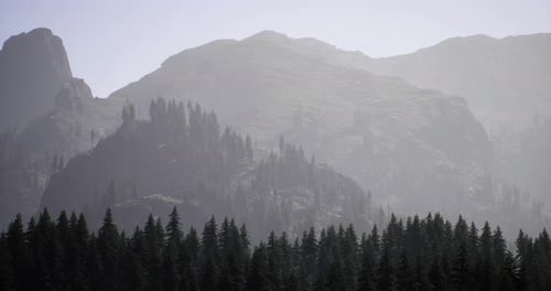Misty Mountains Surround Dense Forest in Early Morning Light