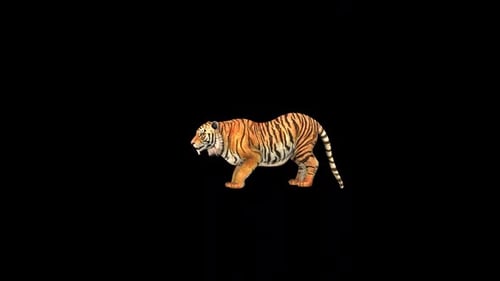 Wild Tiger Howl 2