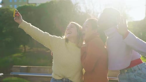 Cheerful Friends are Taking a Selfie Picture in a Park Enjoying the Fun Together