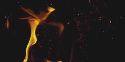 Fire flames and glowing ashes