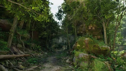 Dirt Road Surrounded By Trees and Rocks