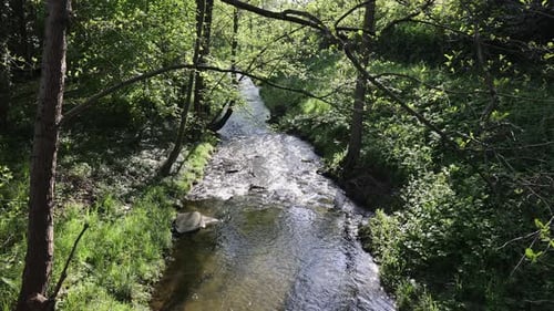 Stream in a deciduous forest im Sauerland