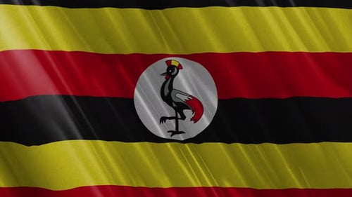 Uganda National Flag Realistic Waving Loop