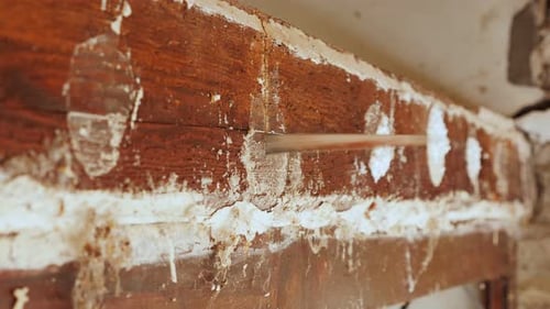 Man cutting wood brick with electric jigsaw