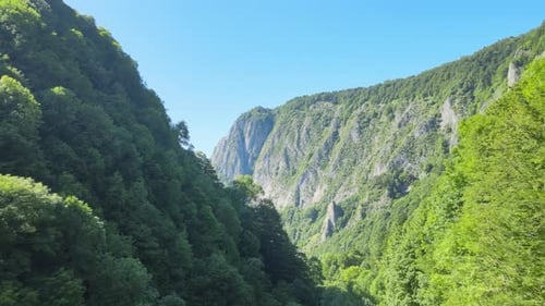 Aerial Green Valleys